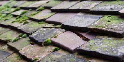 Efailwen roof repair costs